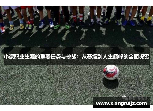 小德职业生涯的重要任务与挑战：从赛场到人生巅峰的全面探索